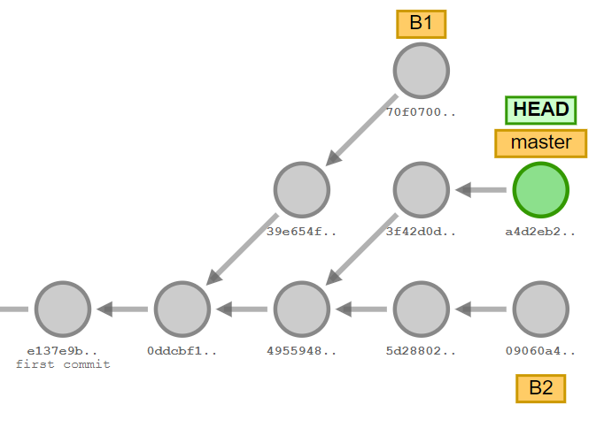 Branch B2 added